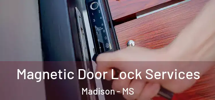 Magnetic Door Lock Services Madison - MS
