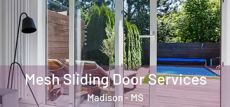 Mesh Sliding Door Services Madison - MS
